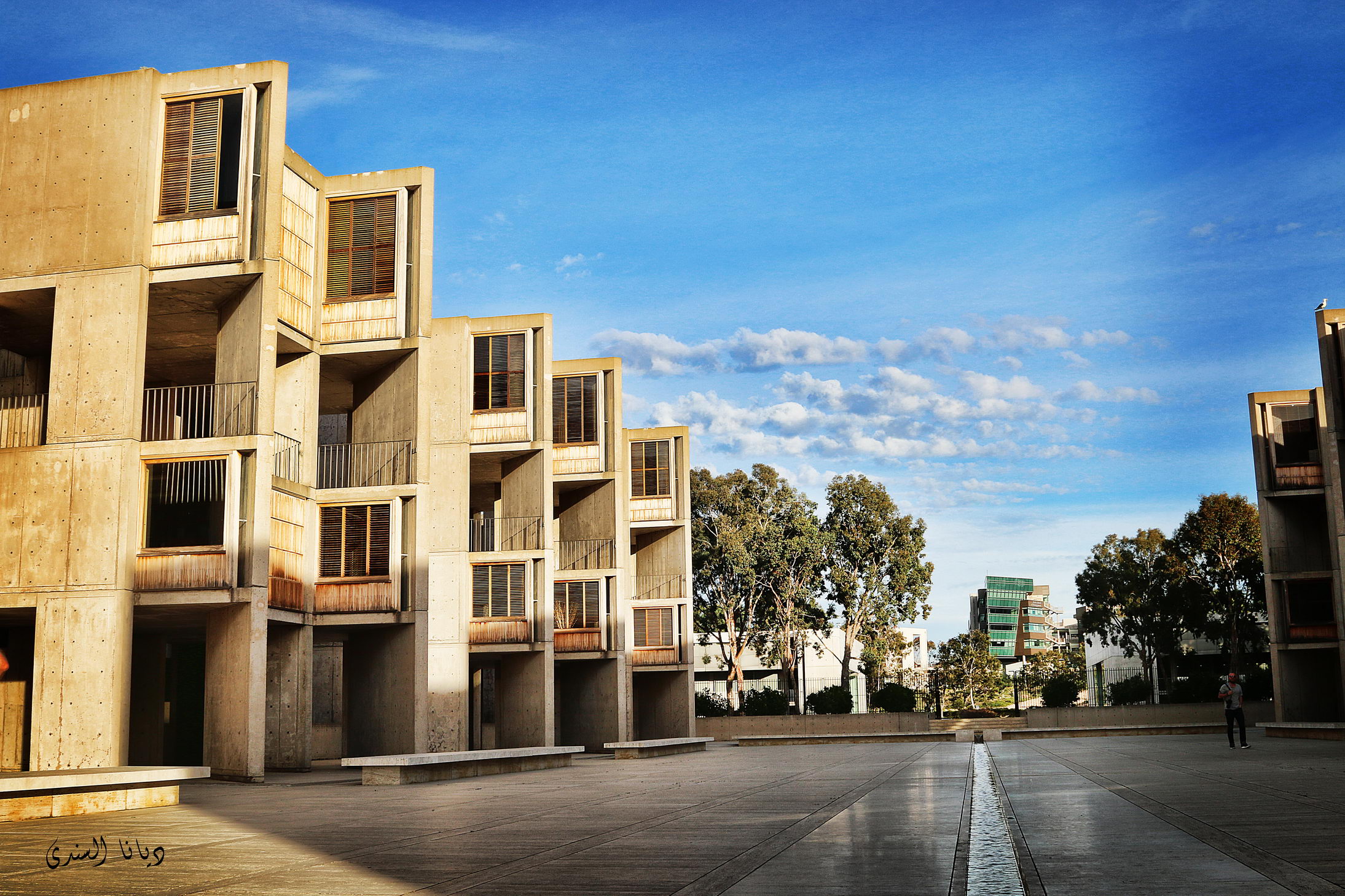 美国加州萨尔克生物研究所（Salk Institute for Biological Studies）- 路易·康（Louis Kahn） - 建筑设计案例 - 树状模式