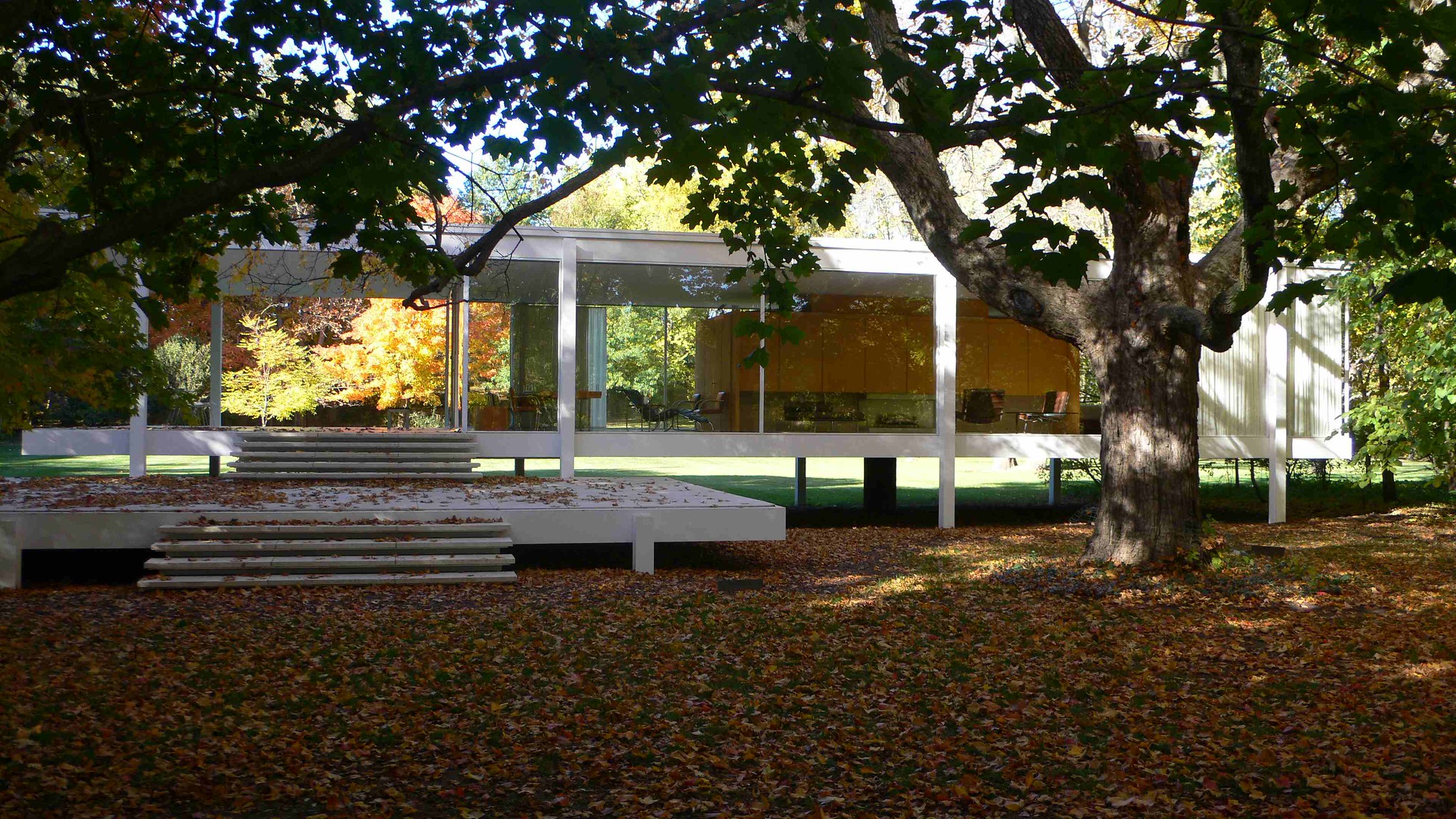 “高贵的单纯”——范斯沃斯住宅代表了谁的意志 - 经典建筑 - 树状模式